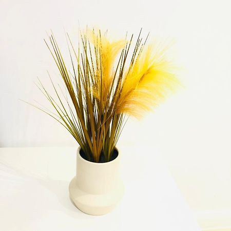 Regent'S Park One Bedroom Apartment 런던 외부 사진